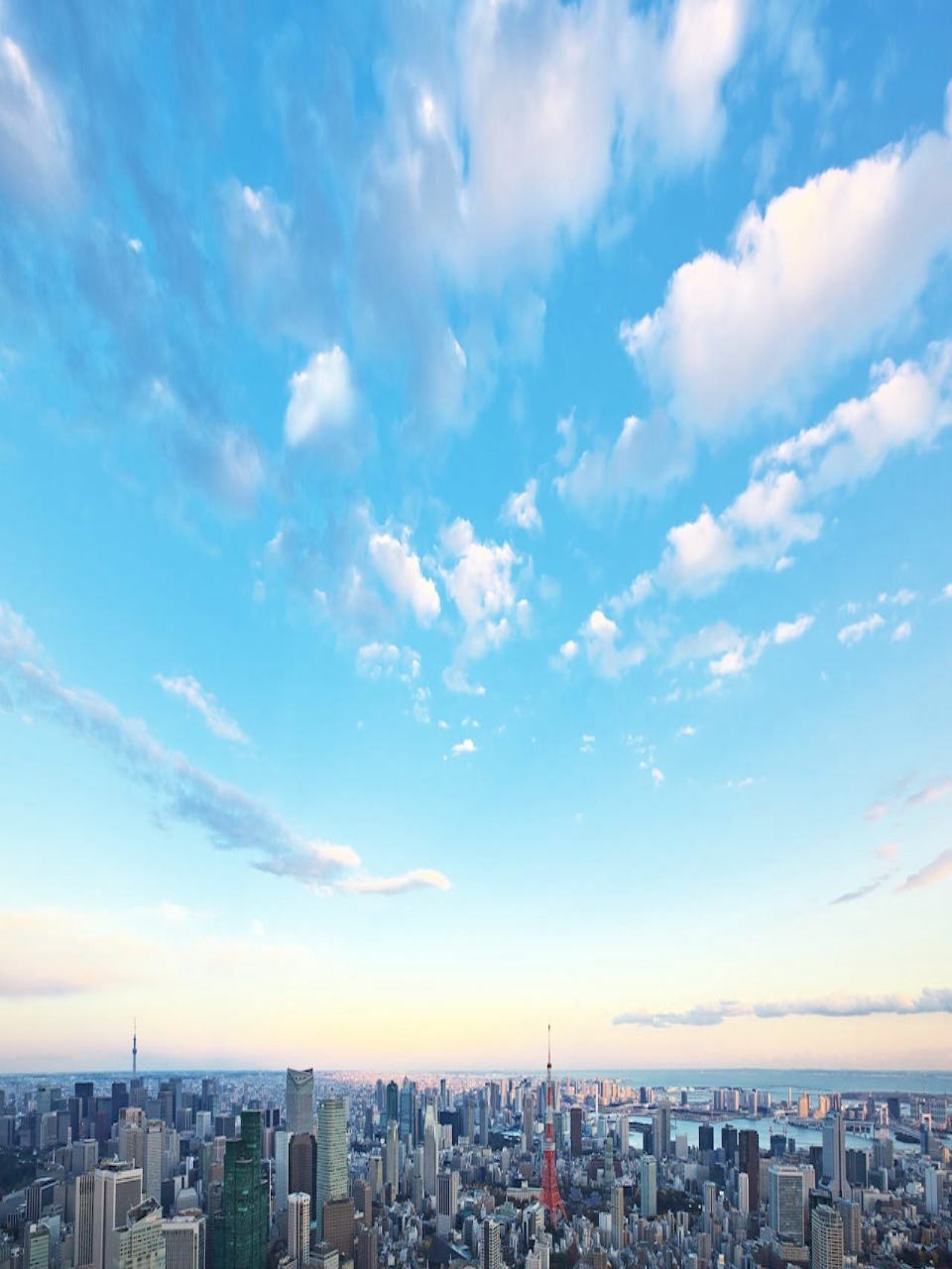株式会社シンフォテック